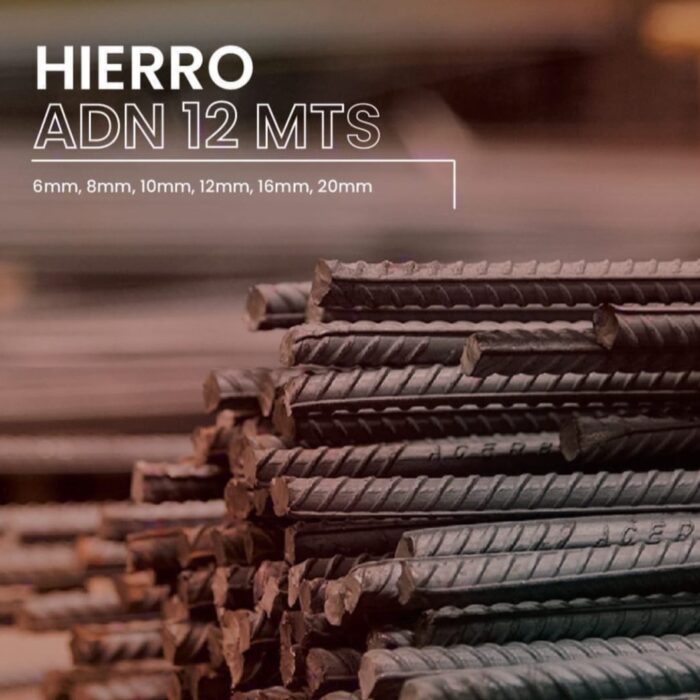 hierros adn 12 meses